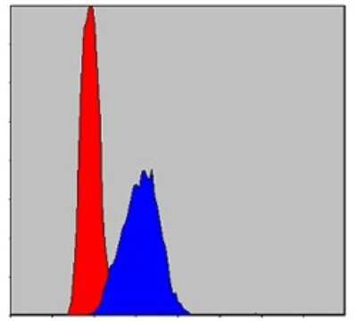 Flow Cytometry: AIF Antibody (4E7) - BSA Free [NBP2-37577]