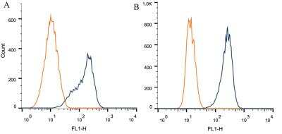 Flow Cytometry: AIP/ARA9 Antibody (35-2) [NB100-127]