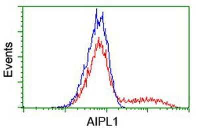 Flow Cytometry: AIPL1 Antibody (OTI3B4) [NBP2-01327]
