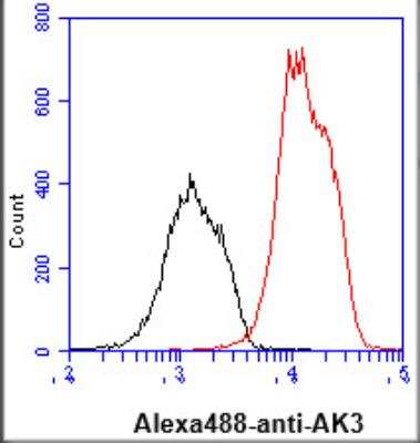 Flow Cytometry: AK3 Antibody (SJB3-36) - BSA Free [NBP1-04261]