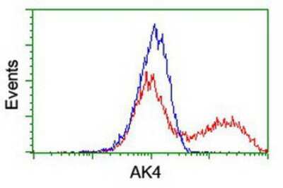 Flow Cytometry: AK3L1 Antibody (OTI3B1) [NBP2-00827]