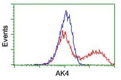 Flow Cytometry: AK3L1 Antibody (OTI3B1) - Azide and BSA Free [NBP2-70129]