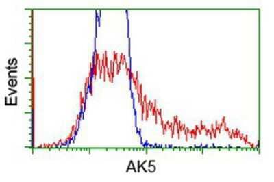 Flow Cytometry: AK5 Antibody (OTI2F9) [NBP2-02978]