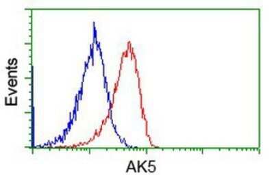 Flow Cytometry: AK5 Antibody (OTI2F9) - Azide and BSA Free [NBP2-71813]