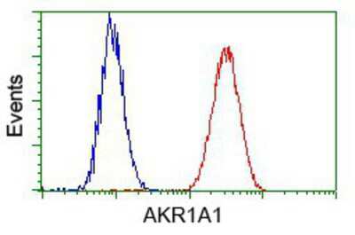 Flow Cytometry: AKR1A1 Antibody (OTI6E3) [NBP2-02164]