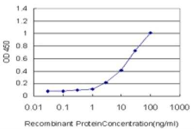 ELISA: AKR1D1 Antibody (1C2) [H00006718-M03]