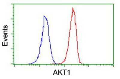 Flow Cytometry: AKT1 Antibody (OTI4D6) [NBP2-01724]