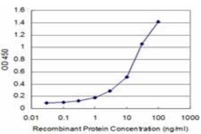 ELISA: AKT2 Antibody (1D9) [H00000208-M03]