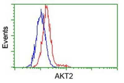 Flow Cytometry: AKT2 Antibody (OTI4H7) [NBP2-02231]