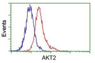 Flow Cytometry: AKT2 Antibody (OTI4H7) [NBP2-02231]