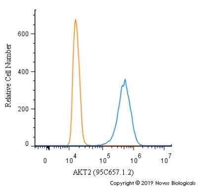 Flow Cytometry: AKT2 Antibody (95C657.1.2) [NB100-56676]