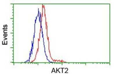 Flow Cytometry: AKT2 Antibody (OTI4H7) - Azide and BSA Free [NBP2-70146]