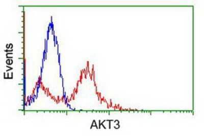 Flow Cytometry: AKT3 Antibody (OTI9B2) [NBP1-47657]