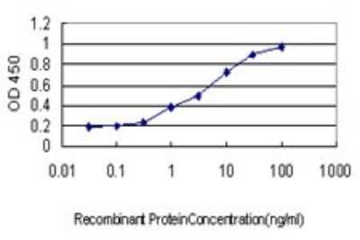 ELISA: ALAS2 Antibody (6C1) [H00000212-M01]
