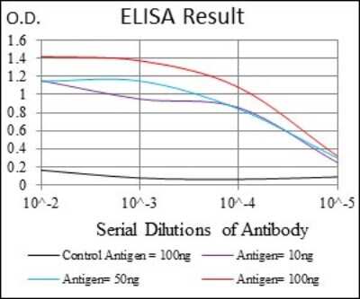 ELISA: ALCAM/CD166 Antibody (4H9A5) - BSA Free [NBP2-37345]