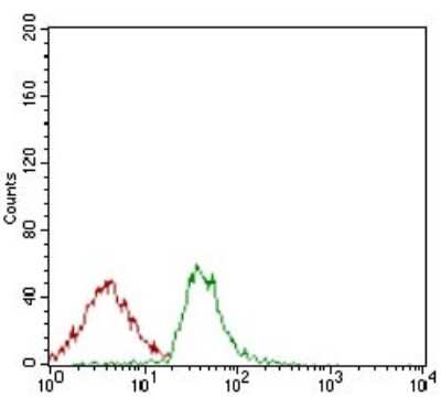 Flow Cytometry: ALCAM/CD166 Antibody (4H9A5) - BSA Free [NBP2-37345]