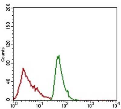 Flow Cytometry: ALCAM/CD166 Antibody (8E12C7) - BSA Free [NBP2-37358]