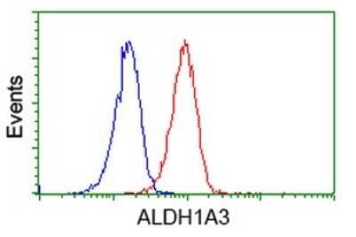Flow Cytometry: ALDH1A3 Antibody (OTI4E8) [NBP2-46510]