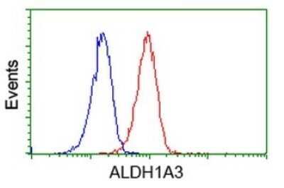 Flow Cytometry: ALDH1A3 Antibody (OTI4E8) - Azide and BSA Free [NBP2-70154]