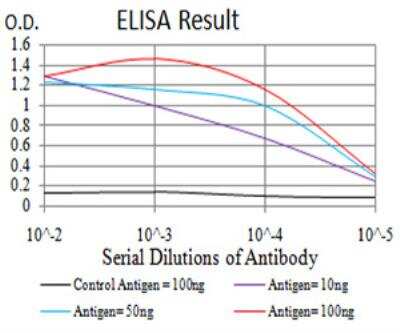 ELISA: ALDH6A1 Antibody (6H9B7) - BSA Free [NBP2-52411]
