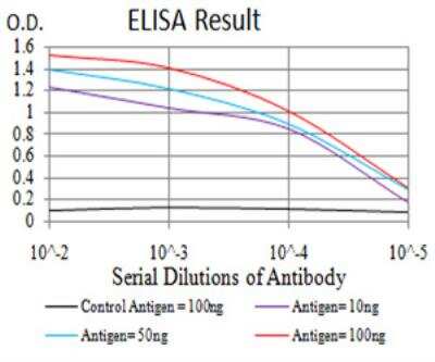 ELISA: ALDH6A1 Antibody (6H9B8) - BSA Free [NBP2-52410]