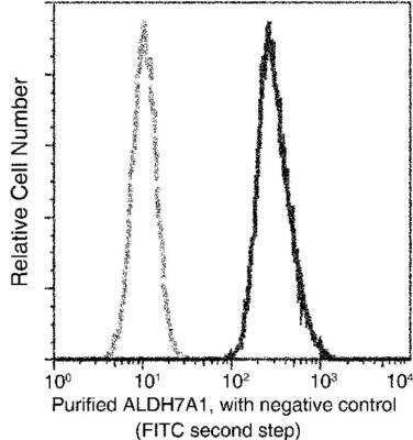 Flow Cytometry: ALDH7A1 Antibody (101) [NBP2-89926]
