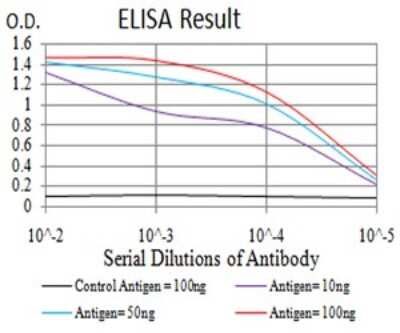 ELISA: ALK/CD246 Antibody (7A11A4) - BSA Free [NBP2-61845]
