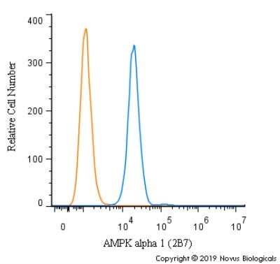 Flow Cytometry: AMPK alpha 1 Antibody (2B7) - Azide and BSA Free [NBP2-80575]