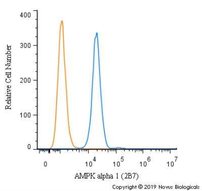 Flow Cytometry: AMPK alpha 1 Antibody (2B7) - BSA Free [NBP2-22127]