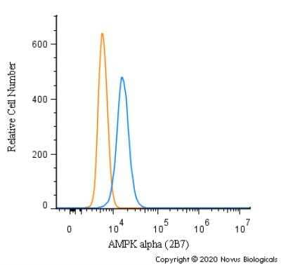 Flow Cytometry: AMPK alpha 1 Antibody (2B7) - BSA Free [NBP2-22127]