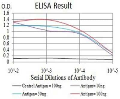 ELISA: AMPK alpha 2 Antibody (5B4G1) - BSA Free [NBP2-61853]