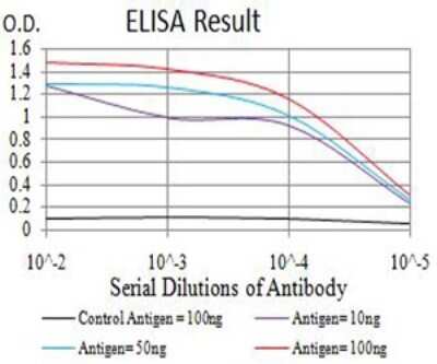 ELISA: AMPK alpha 2 Antibody (8E11H5) - BSA Free [NBP2-61852]