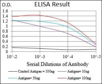 ELISA: AMPK gamma 1 Antibody (4A1G9) - BSA Free [NBP2-37283]