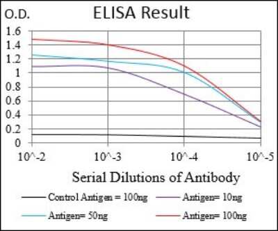 ELISA: AMPK gamma 1 Antibody (7H3E9) - BSA Free [NBP2-37285]