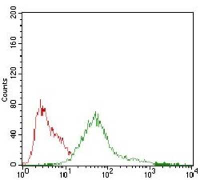Flow Cytometry: AMPK gamma 1 Antibody (7H3E9) - BSA Free [NBP2-37285]