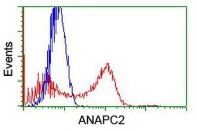 Flow Cytometry: ANAPC2 Antibody (OTI1A6) [NBP2-01128]