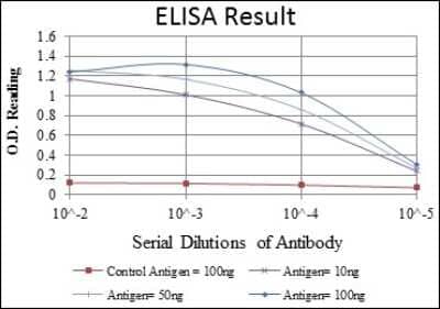 ELISA: ANIB1 Antibody (5H3) - BSA Free [NBP2-37564]