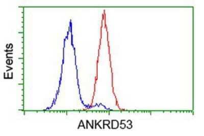 Flow Cytometry: ANKRD53 Antibody (OTI1E1) [NBP2-00520]