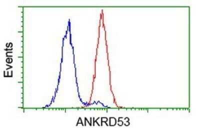 Flow Cytometry: ANKRD53 Antibody (OTI1E1) - Azide and BSA Free [NBP2-72217]
