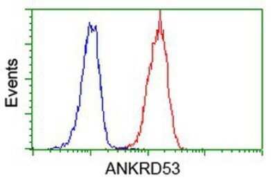 Flow Cytometry: ANKRD53 Antibody (OTI1E1) - Azide and BSA Free [NBP2-72217]