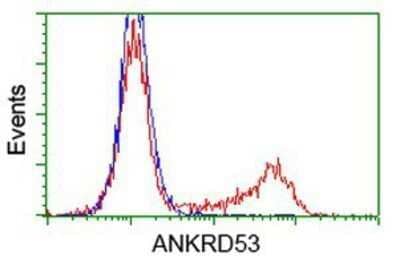Flow Cytometry: ANKRD53 Antibody (OTI1E1) - Azide and BSA Free [NBP2-72217]