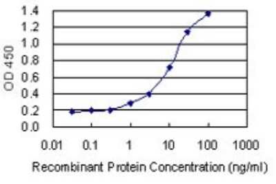 ELISA: ANP32B Antibody (8E10) [H00010541-M05]