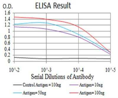ELISA: AOF1 Antibody (5E10C1) - BSA Free [NBP2-52415]