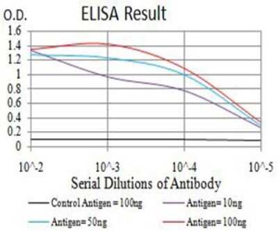 ELISA: AP-2 gamma Antibody (3A11A5) - BSA Free [NBP2-61859]