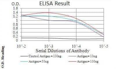 ELISA: AP2 alpha Antibody (7D2B5) - BSA Free [NBP2-52572]