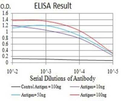 ELISA: AP2M1 Antibody (4F1B2) - BSA Free [NBP2-61866]