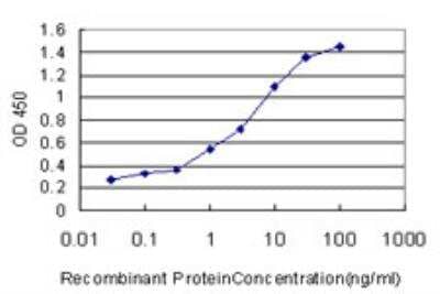 ELISA: AP4B1 Antibody (1B2) [H00010717-M03]