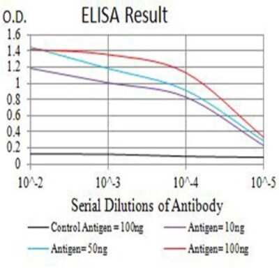 ELISA: APAF-1 Antibody (2H9A1) - BSA Free [NBP2-61868]