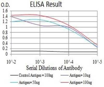 ELISA: APBA2 Antibody (7G5G11) - BSA Free [NBP2-61880]