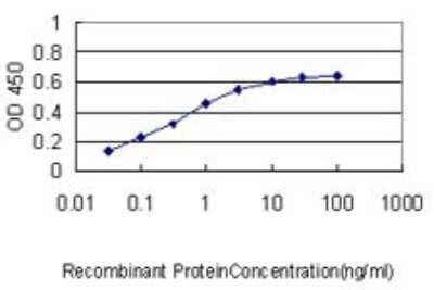 ELISA: APBB2 Antibody (2D8) [H00000323-M01]